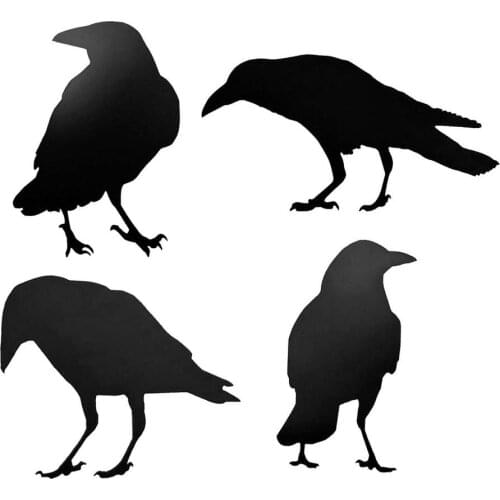 Crow Display Decoration 4 Photo Frame Bird Decorations Desktop Props For Kids Children Early Learning Educational Classic Toys