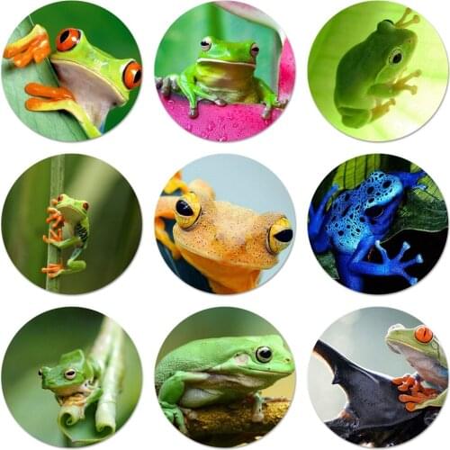 Frog Icons Pins Badge Decoration Brooches Metal Badges For Backpack Decoration