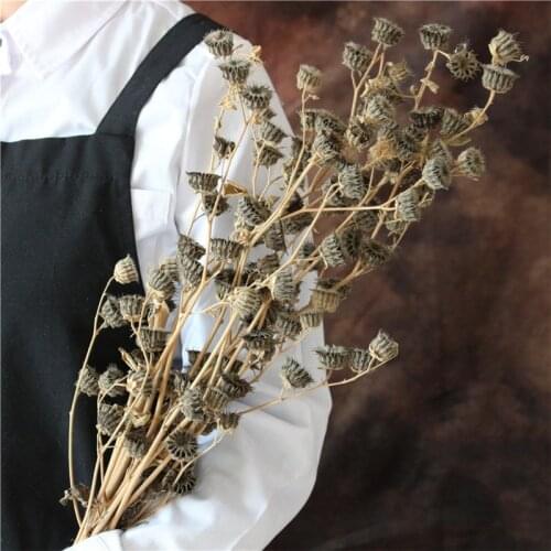 5pcs Dried flowers Bunch Decor Flower Bouquet Natural Dried Flower Christmas Valentines Day Gift
