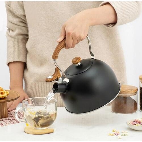 Заварочные чайники ANENG China At AliExpress