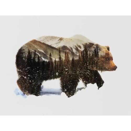 Painting By Numbers DIY Dropshipping 40x50cm Bears in the cold of winter Animal Handmade Gift For Adult Unique Gift Home Decor