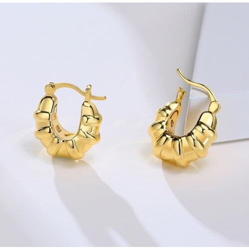 Croissant Huggie Earrings Round Chunky Hoops for Women Fashion 2021 Jewelry
