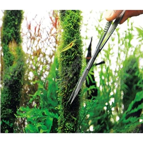 HONGYI Aquatic stainless Steel water plant scissors spring straight curve wave never rusty same as ADA