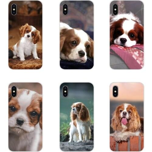Phone Cases Cover Cavalier King Charles Spaniel dog For Samsung Galaxy S3 S4 S5 Mini S6 S7 Edge S8 S9 S10 Lite Plus Note 4 5 8 9