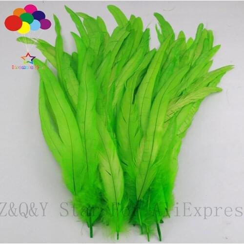 Natural 25-30CM (10-12 inches) rooster tail decolored fruit green 20-200PCSDIY craft jewelry show costume decoration feather