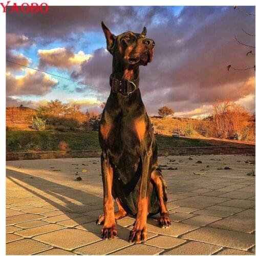 Full drill 5D cross stitch Doberman pinscher square round diamond painting crystal diy diamond Mosaic diamond embroidery sale