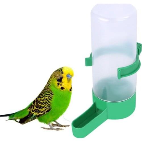 Birds With Automatic Drinking Fountains Thickened Food Boxes Anti-sprinkling Bird Feeders Feeding Cup Parrot
