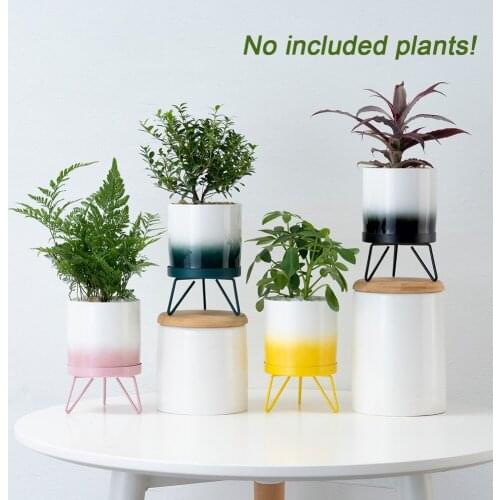 Nordic Minimalist Gradient Flower Pot Decoration Balcony Room Bonsai Detachable Base Home Ceramic Iron Flower Pot