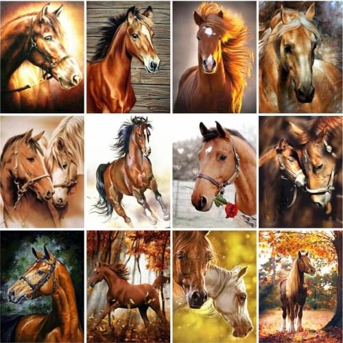 HUACAN Pictures By Numbers Horse DIY Hand Painted Painting By Numbers Animals Gift Home Decoration Wall Art