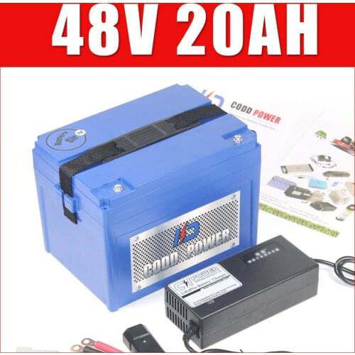 48V 20AH Lithium ion Electric bike battery Pack 48V 250W 500W 1000W Ebike battery
