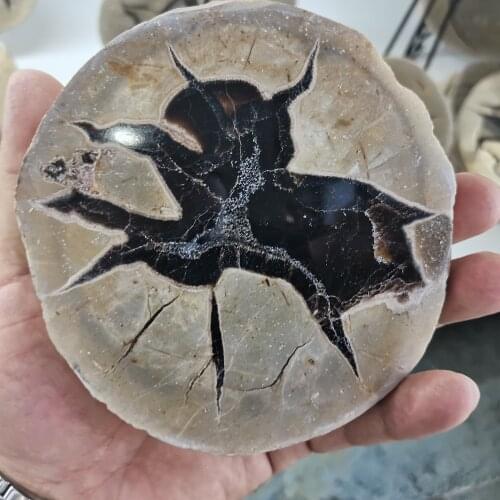 Natural Crystal Septarium slice Reiki Crystal Hand Carved Rough Stone Healing Chakra