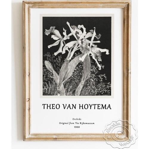 Theo Van Hoytema Exhibition Art Poster, Orchids Black White Art Prints Wall Picture, Cattleya Maxima Home Decor Canvas Painting