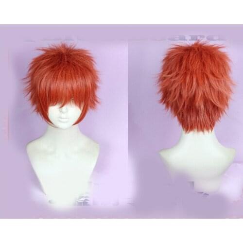 Anime Emiya Shirou Short Wig Fate/stay night Synthetic Hair Cosplay Prop Party Decor for Men Boy Christmas Gift 1 pcs