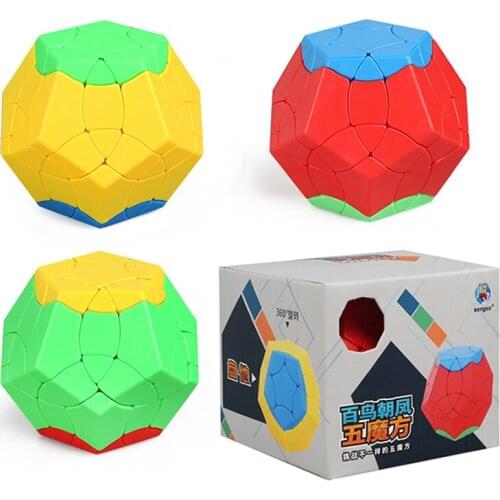 ShengShou BaiNiaoChaoFeng 12 Sides Magic Cube Strange Shape Megaminx Magico Cubo Educational Toys for Kids Children