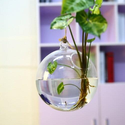 Diameter=10cm 8pcs/pack Glass Material Glass Terrarium Aquarium Home Decorative Handmade Hanging Fishbowl Flat and Round Bottom
