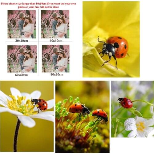 5D Diy Diamond Painting Animal Ladybug Flower Picking Nectar Painting Living Room Bedroom Wall Cross Stitc Mosaic Home Decora
