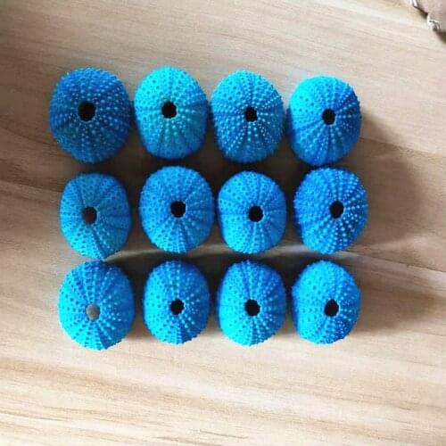 2/4/6Pcs 3.5-5 CM Natural Small Blue Sea Urchin Shell Natural Shell Conch Beach Wedding Decoration Coastal Home Decoration