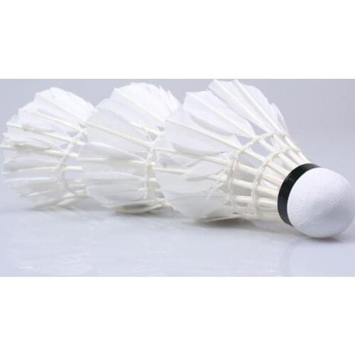 12pcs/pack Badminton Shuttlecocks Shuttlecock For Indoor And Outdoor Sports