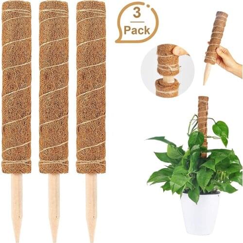 3Pcs Plants Climbing Rattan Sticks 30cm Coir Totem Pole Office Extension Coconut Palm Pillar Creeper Frame Maintain Balcony