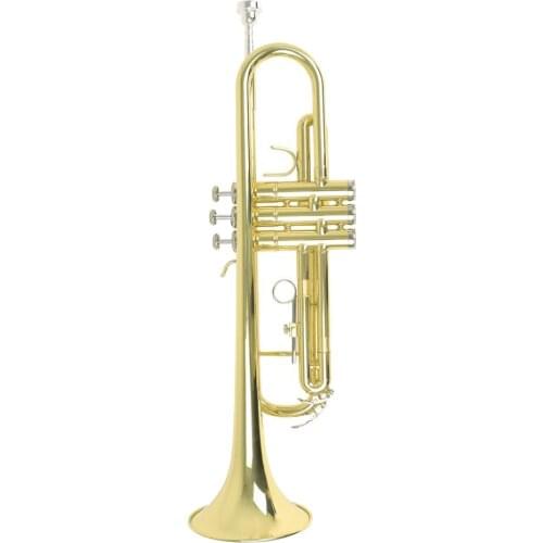 Bb Blowing Bugle Students Youth Trumpet Horn Brass Instrument