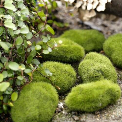 Artificial Moss Plant Plush Stone Miniature Fairy Garden Home Houses Decoration Craft Micro Landscaping Decor DIY Accessories