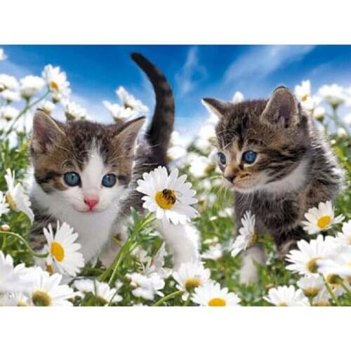 Diamond Embroidery Sale Full Square/Round Drill Flowers kitten Mosaic Painting Cats daisy 5D DIY Diamond Painting wall painting