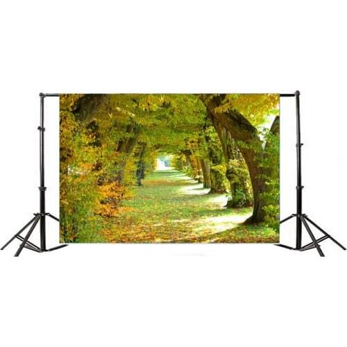 Photography Backdrop Nature Ric Jungle Old Tree Falling Leaves Grass Field Autumn