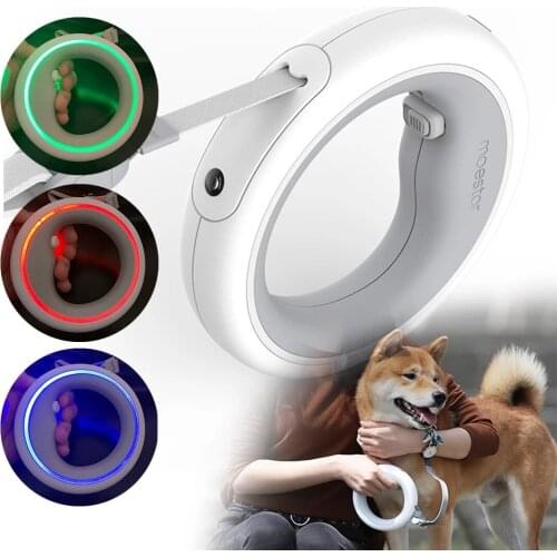 Luminous Retractable Dog Leash Rechargeable LED Light Pet Lead Roulette Rope 3 Meters Long Fashion Leash For Small and Big Dogs