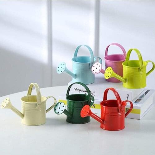 Ultra Mini Iron Watering Can Home Bonsai Plant Shower Tool Gardening Water Pot Sprinkled Kettle Garden Irrigation Spray Bottle