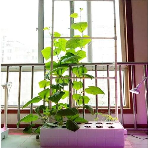 Home Garden 12 Planting Holes Hydroponic Growing Systems Kit with Climbing Bracket for tomtato cucumber