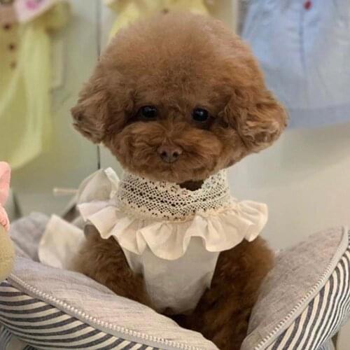 Korea Hand-made cotton and linen lace v-neck dog skirt Princess Sweety Puppy Dresses for Small Dogs Pets Dress