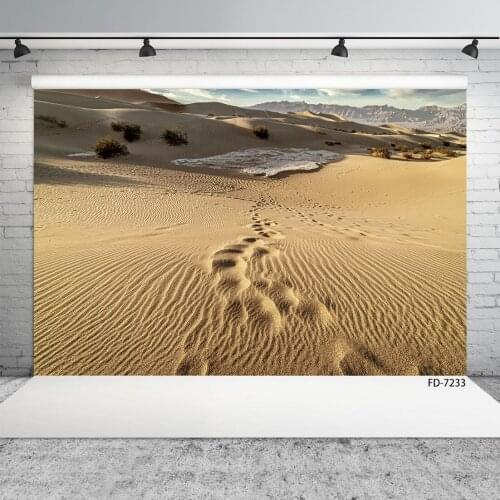 Nature Desert Landscape Vinyl Cloth Photographic Backgrounds for Photo Studio Children Baby Portrait Backdrops Photocall