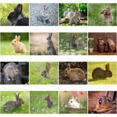 Diy Diamond Painting Cute Animals Rabbit Bedroom Paintings Childrens Room Decoration Painting Creative Decoration Painting