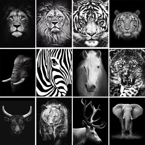 DIY 5D diamond painting full square diamond embroidery set black and white pattern animal cross stitch stickers home decoration