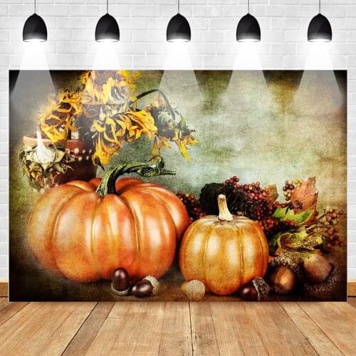 Pumpkin Oil Painting Background for Photo Studio Halloween Pumpkin Seeds Photographic Backdrops Sunflower Photobooth Supplies