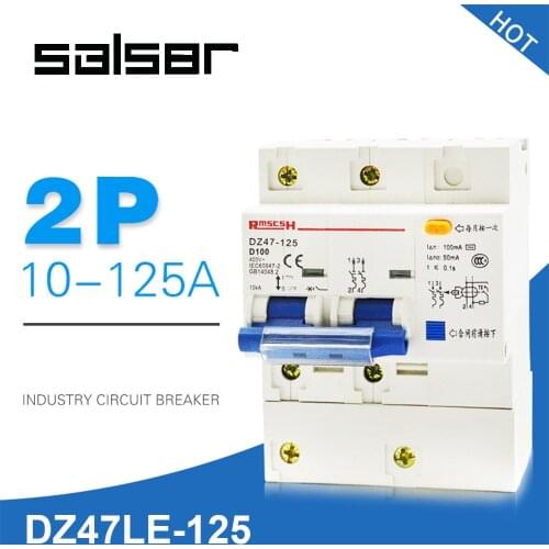 D Type DZ47LE-100 Electric Leakage Circuit Breaker Switch Household Protect 2P Small-sized Atmosphere Switch