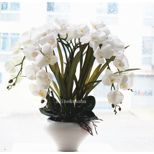 1set big size latex real touch artificial orchid flower arrangement white orchids Phalaenopsis princess flower no vase