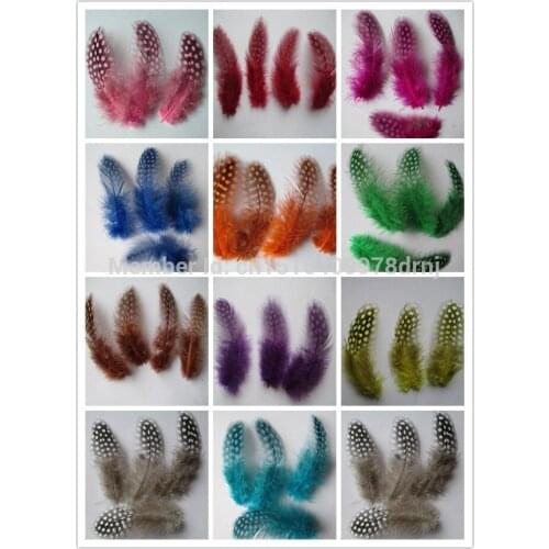 Wholesale 20pcs / guinea fowl feather jewelry making many beautiful colors to Plumas dress decorated with feathers