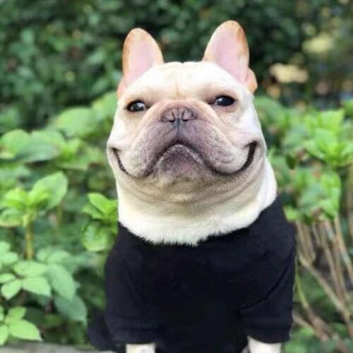 New Arrival Pet Dog Sweatshirt Clothes Puppy Winter Warm Coat Jacket Sweater For Small Medium Dogs Pug Schnauzer Chihuahua LXC25