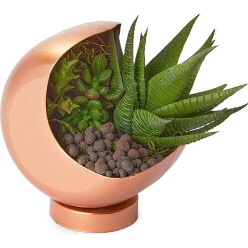 100g/pack Ceramic Hydroponic Soil Negative Ion Pottery Clay Ball Aquaculture Plant Carbon Nutrient Expanded Da Pebb O7s7