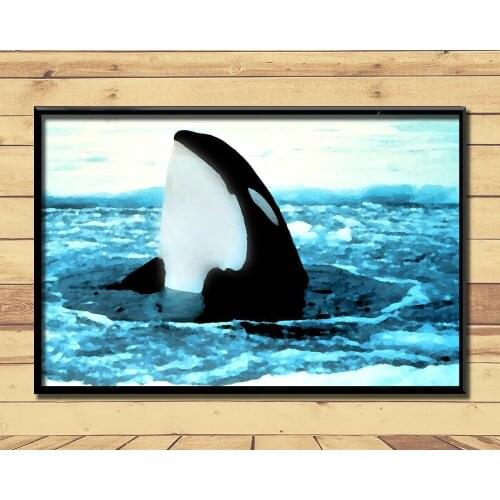 Orca Ferocious Marine Animal (15) Wall Posters Prints Silk Art Painting For Home Wall Bedroom Decor