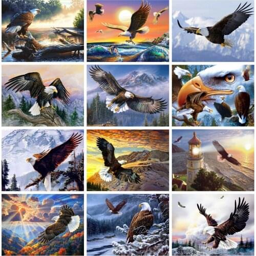 Huacan 5D DIY Diamond Painting Full Round/Square Eagle Diamond Embroidery Mosaic Animal Decorations Home