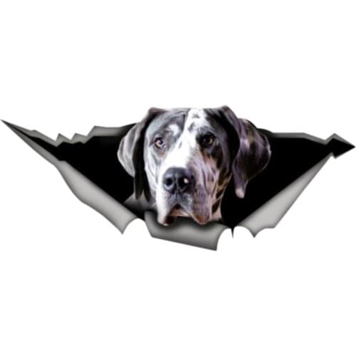 Funny Great Dane Car Decal Pet Decal 3D Pet Graphic Animal Car Sticker Car Accessories Vinyl Decal PVC 13cm X 4.8cm