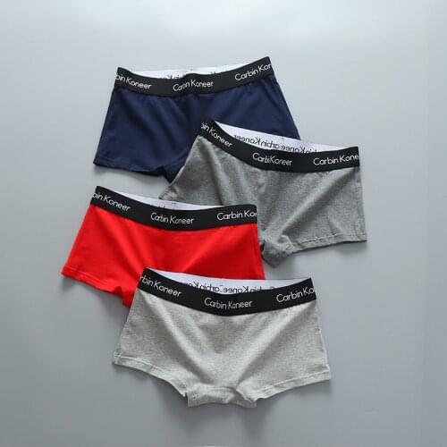 3pcs Women Panties Boxer Cotton Underpants Tomboy Tran Les Lesbian Underwear Elastic Waisted Neutral Shorts Plus Size Boyshort