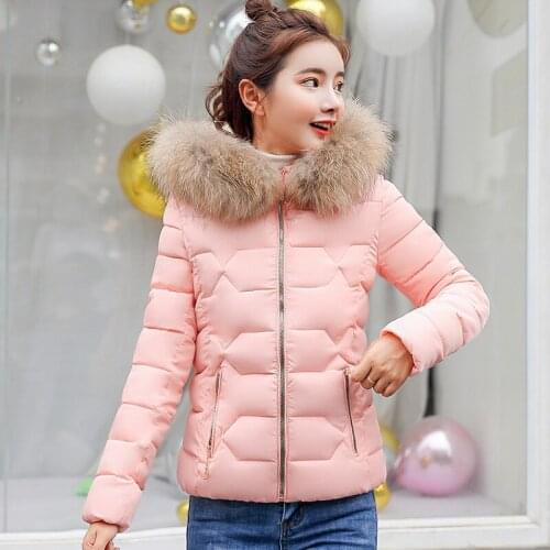 2018 Polyester Long Zipper Slim Full Bow Flocking New Arrival Real Clothes Woman Small Loose Coat