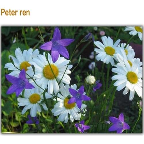 Peter ren Diamond painting square crystal diamond mosaic rhinestone full diamond embroidery daisy garden for decorative pictures