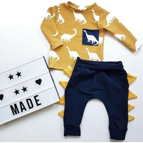 Newborn Toddler Suits Baby Boys Girls Cute Dinosaur Pattern Clothes Sets Infant Kids Child Cotton Tops+Pants 2Pcs Outfits Sets