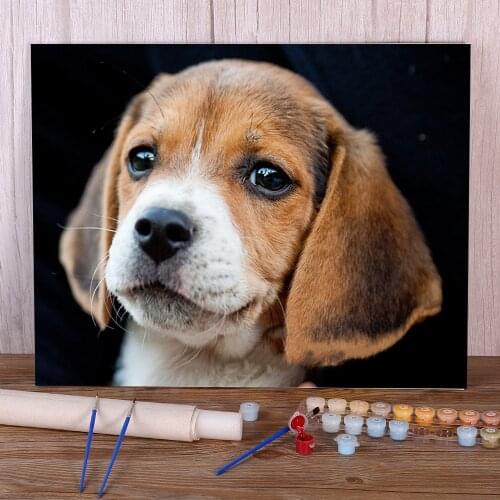 Animal Dog Beagle Coloring By Numbers Painting Set Oil Paints 40*50 Paiting By Numbers New Design For Handicraft