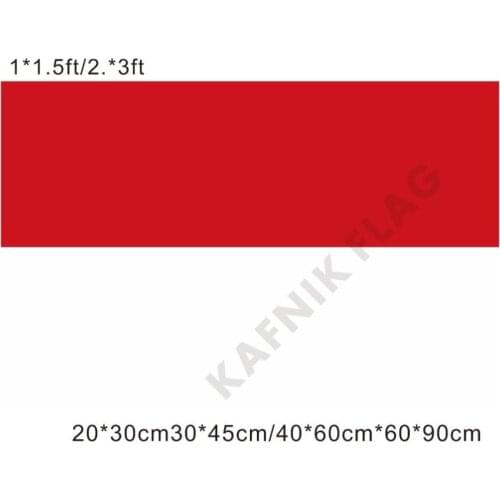 KAFNIK,free shipping 20*30cm/30*45cm/40*60cm/60*90cm small flags Indonesia National Flag for Countries World Event Decorative