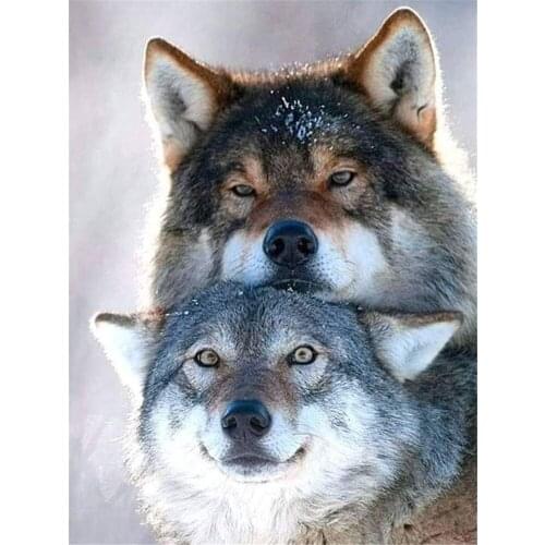 Wolf Cartoon Animal DIY Cross Stitch 11CT Embroidery Kits Needlework Craft Set Printed Canvas Cotton Thread Home Sell